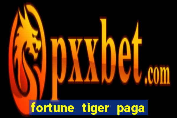 fortune tiger paga de madrugada